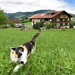 Familienbauernhof Koess Schertler 3* Эгг