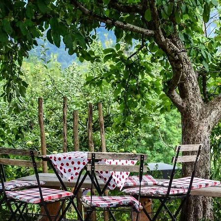 Familienbauernhof Koess Schertler Эгг