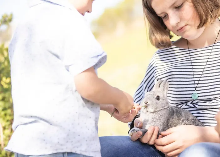 Familienbauernhof Koess Schertler Bed & Breakfast